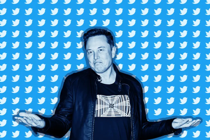 Directorii Twitter concediați îl dau în judecată pe Elon Musk pentru peste 128 de milioane de dolari - Stiri Sucial